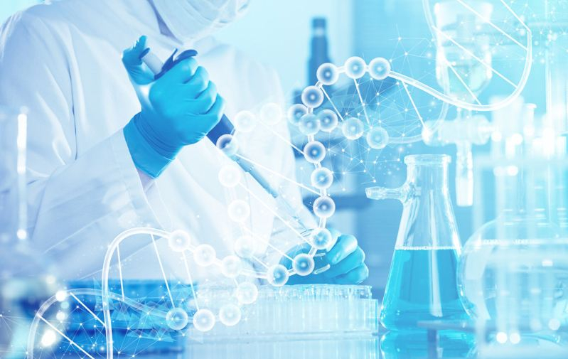 Western blot immunoblotting also known as Western blot Western blotting basic principles, steps, advantages