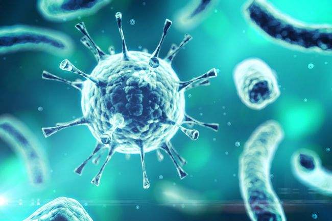 免疫印跡immunoblotting又稱蛋白質(zhì)印跡Western blotting基本原理、步驟、優(yōu)點