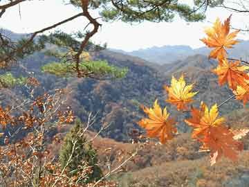 大連太古廣場最新消息